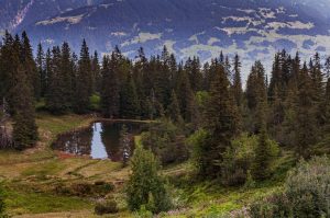 The Art of Solo Travel: Embracing Adventure in the Great Outdoors