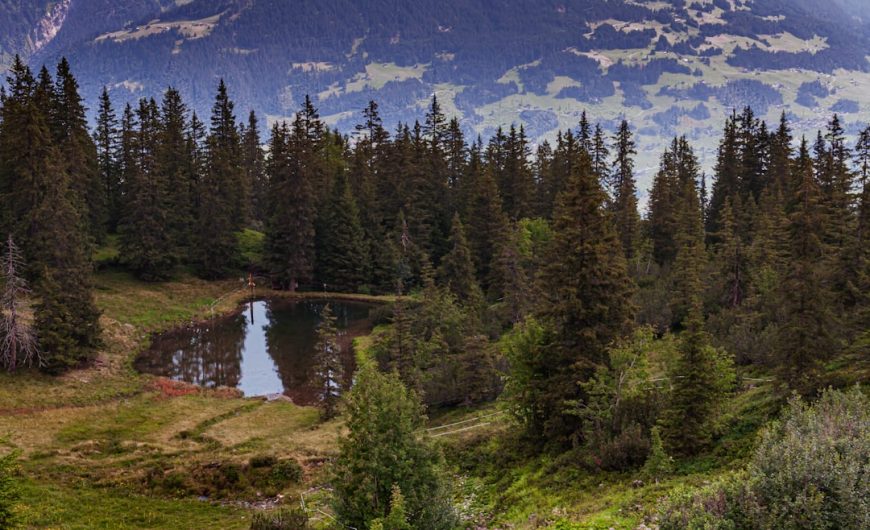The Art of Solo Travel: Embracing Adventure in the Great Outdoors